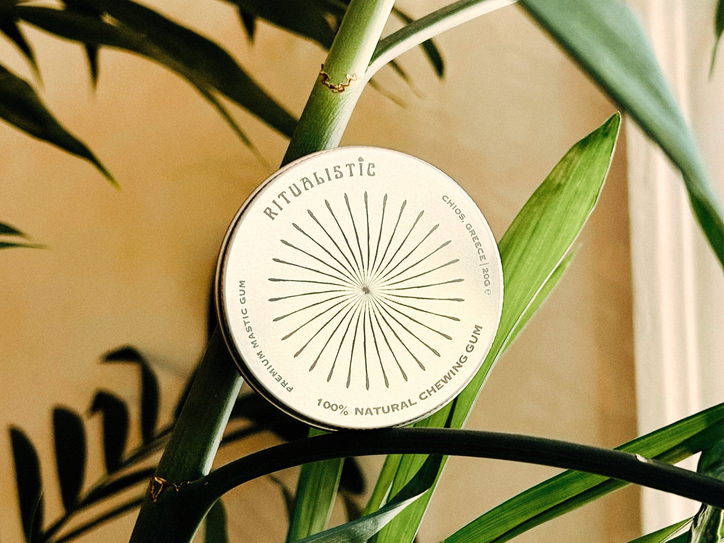 A Ritualistic tin of mastic gum resting among palm leaves.