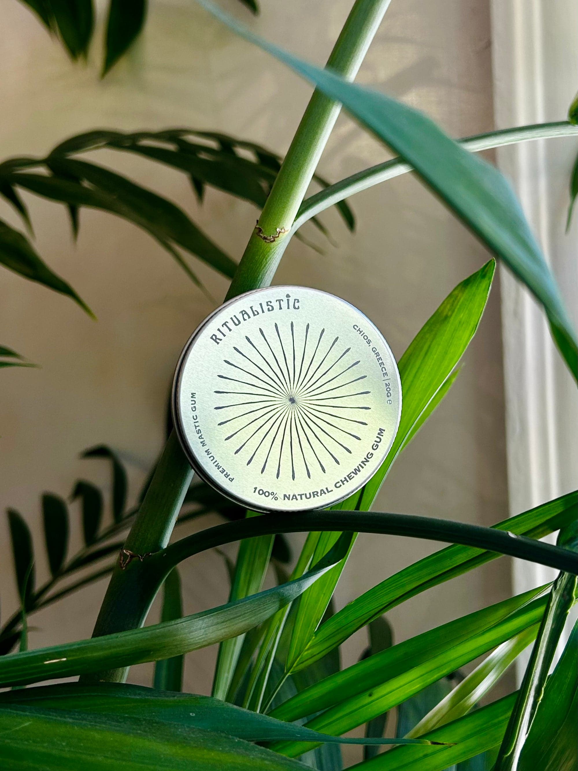 Ritualistic tin among palm leaves.